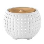 Diffusers & Accessories Diffusers & Accessories