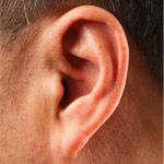 Ear