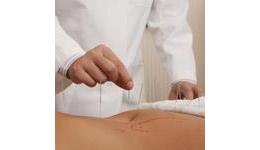 Magnetic Pellet Products