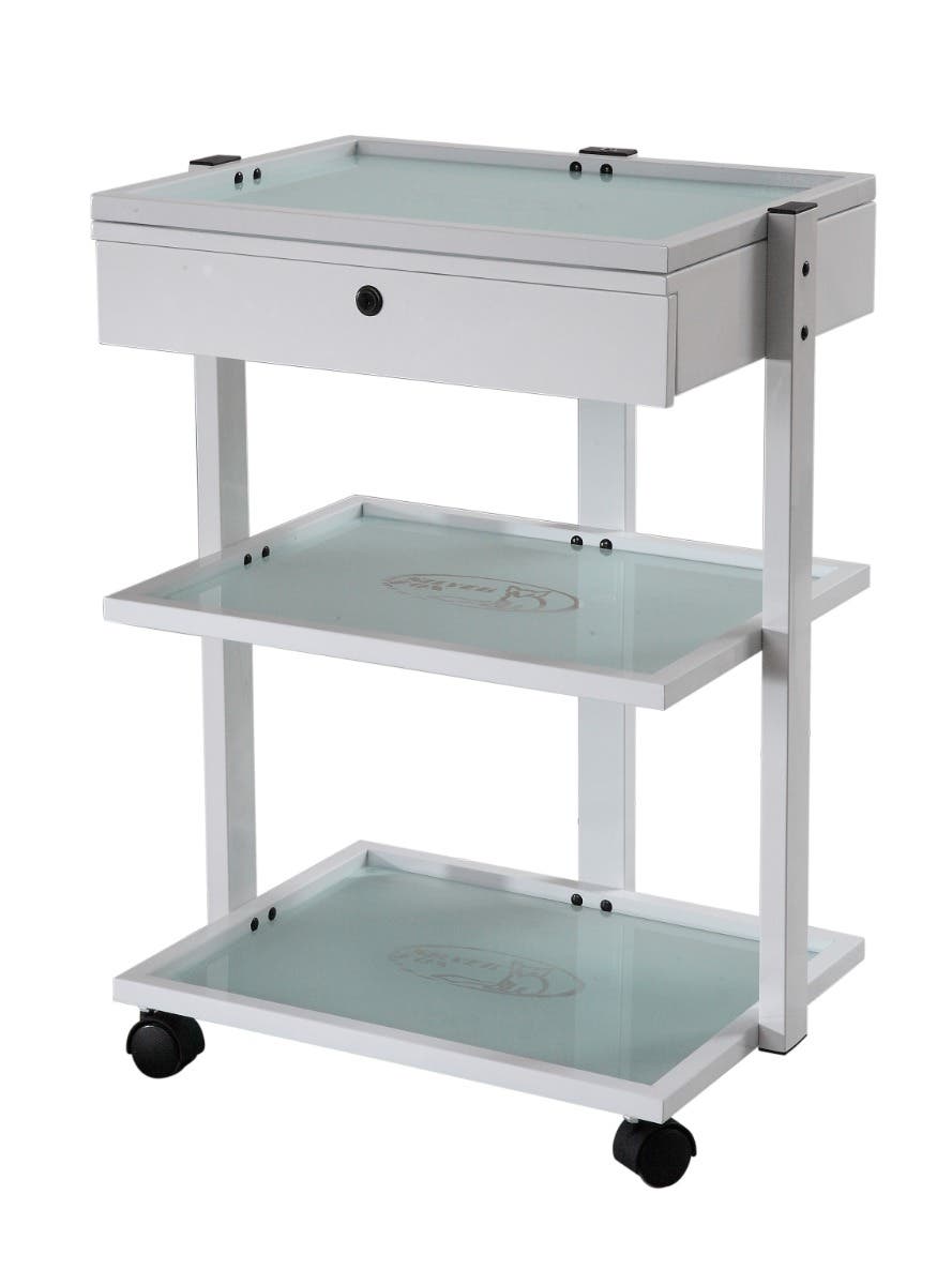 SilverfoxTrolley,1040AWhite