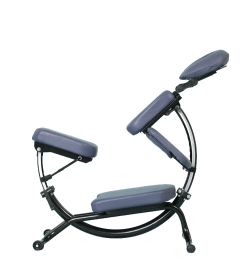 Pisces Productions Dolphin II Massage Chair