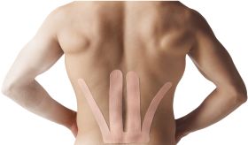 Spidertech Gentle, Low Back