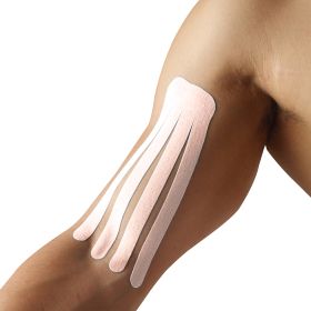 SpiderTech Gentle, Small Fan Spider Precut 2/Pack