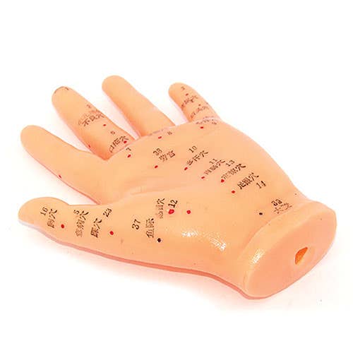 HandModel-AcupunturePointModel