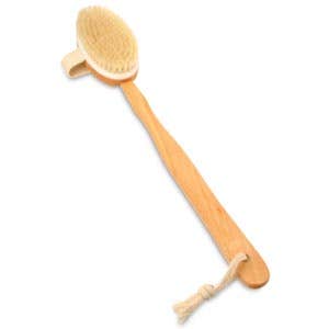 LongHandleBoarBrushDryBrushwithRemovableHandle