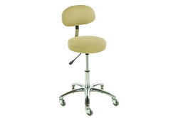 TouchAmerica ProStool with Back - Standard Height Option