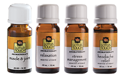 Lotus Touch Blended Oil Premium Pack