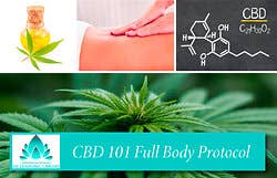CBD 101: Full Body Treatment Protocol
