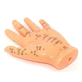 Hand Model - Acupunture Point Model