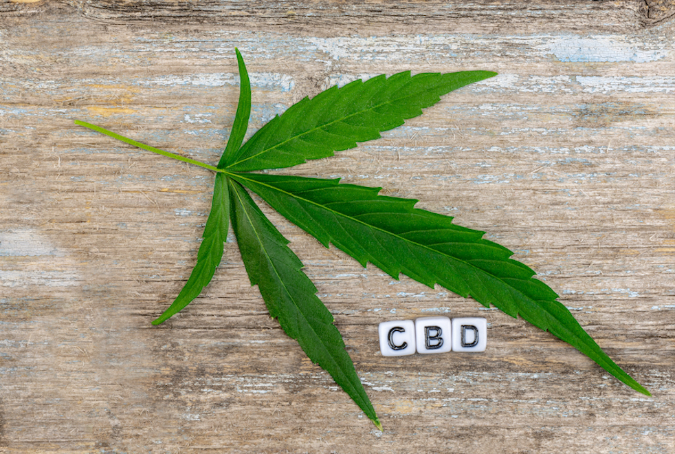 Learn about CBD Clinic Massage Cream & Pain Relief